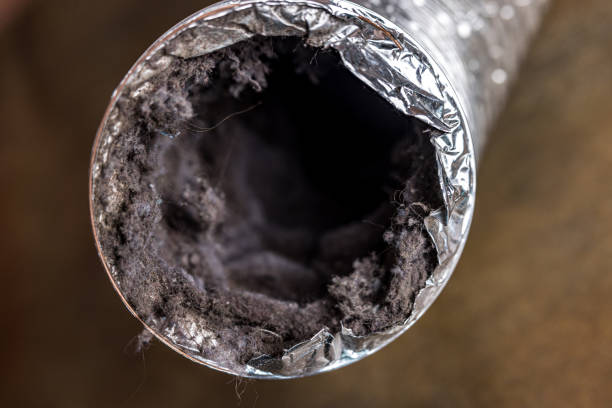Best Affordable HVAC Duct Cleaning  in Calvert, TX
